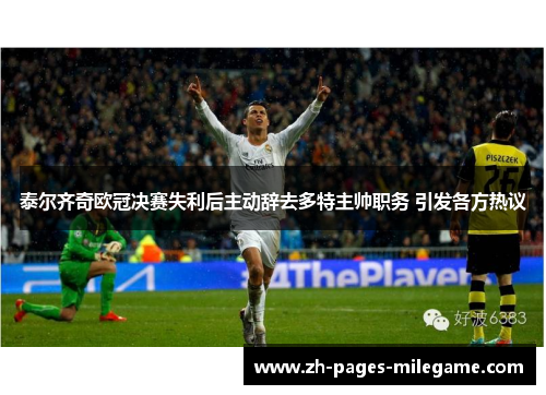 泰尔齐奇欧冠决赛失利后主动辞去多特主帅职务 引发各方热议