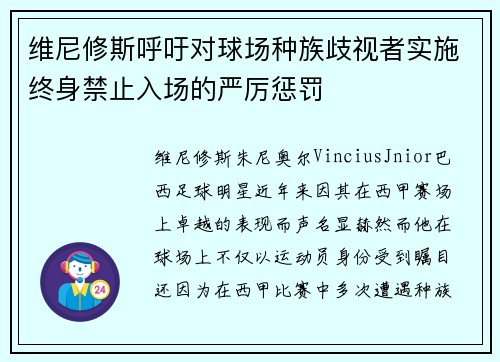 维尼修斯呼吁对球场种族歧视者实施终身禁止入场的严厉惩罚