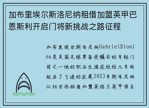 加布里埃尔斯洛尼纳租借加盟英甲巴恩斯利开启门将新挑战之路征程 加布里埃尔斯洛尼纳租借加盟英甲巴恩斯利开启门将新挑战之路征程
