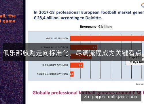 俱乐部收购走向标准化，尽调流程成为关键看点